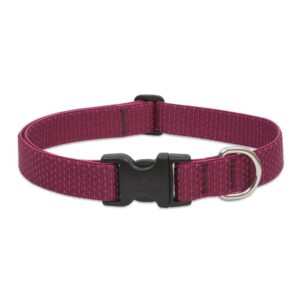 COLLAR ECO 12-20" ADJ (L) BERRY