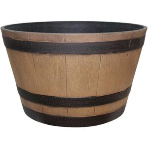 WHISKEY BARREL OAK 15.5"