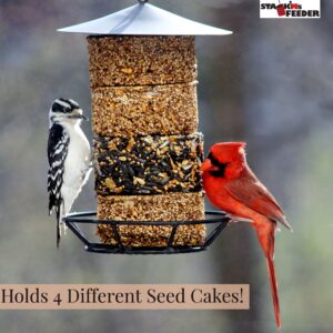 STACK'MS SEED CAKE FEEDER 4