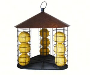 WS FLYTHROUGH SUET BALL FDR