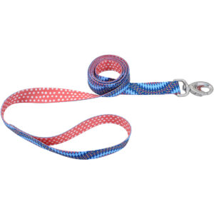 1" SUBLIME LEASH 6FT