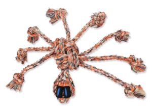 SNAKEBITER SPIDER 11IN