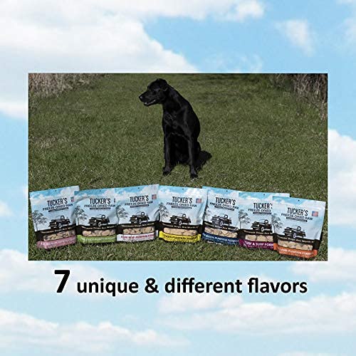 TUCKERS FRZD CKN/PMP 14OZ - Image 6