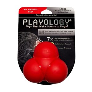 BEEF SCENTED BOUNCE BALL LG