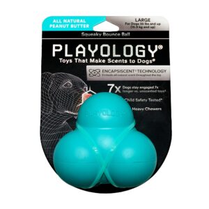 PEANUT BUTTER BOUNCE BALL LG