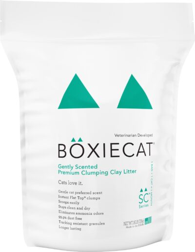BOXIECAT GNTLY SCNT PREM 16#