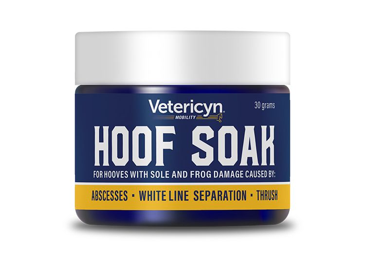 VETERICYN HOOF SOAK 30G