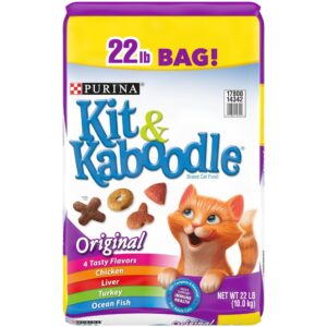 KIT N KABOODLE CAT 22LB
