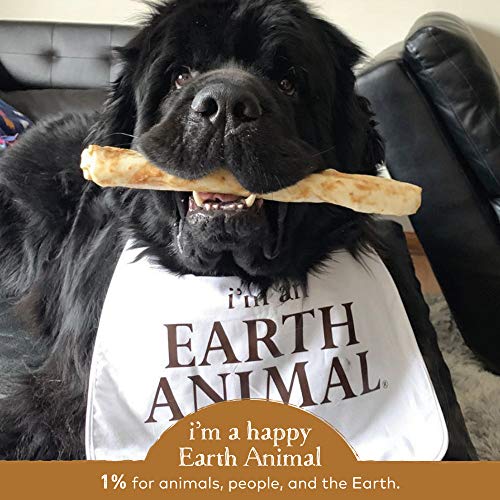 EARTH AN NO HIDE CHEW VEN 11" - Image 4