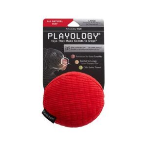 PLAYOLOGY BEEF SQUEAK BALL L