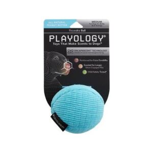 PLAYOLOGY SQUEAK BALL PB MD