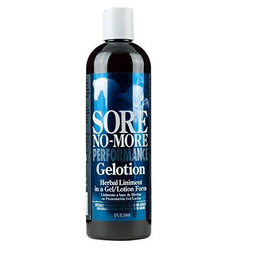 SORE NO MORE GELOTION 12 OZ