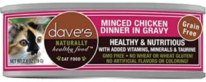 DAVES MINCED CKN GRAVY 2.8OZ CAT