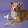 SKOUTS PRBTC PAW SPRAY 8OZ - Image 5