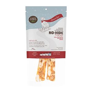 EA HOLIDAY NO HIDE 11" 2PK