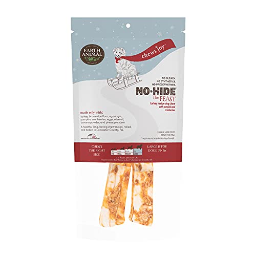 EA HOLIDAY NO HIDE 11" 2PK