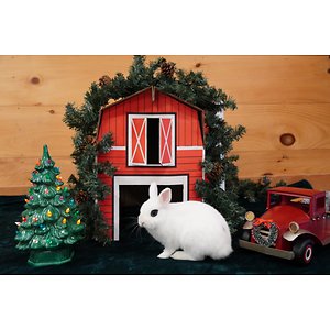 SMF BUDDY BARN HIDEOUT