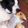 DOGGIJUANA CALM SQUIRREL TOY - Image 3