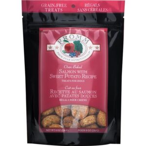 FROMM DOG TRT 8 OZ SALMON