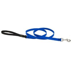 1/2in Blue 4ft Leash