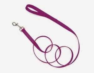 SINGLE PLY DOG LEASH BLK 6FT
