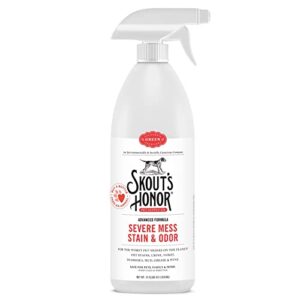 SH SEVERE MESS STAIN & ODOR