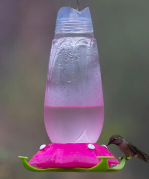 FLORAL HUMBIRD FEEDER PURPLE