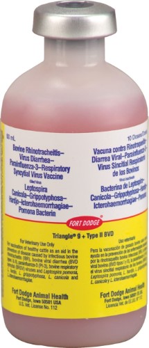 VACCINE TRIANGLE 10 CATTLE