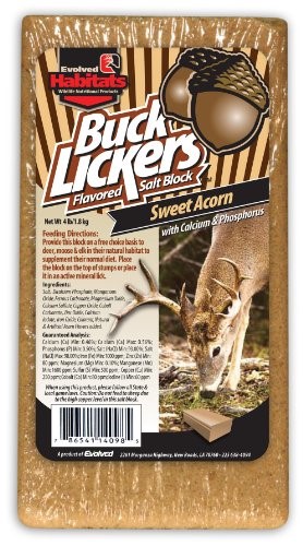 BUCK LKERS ACORN BLOCK 4LB