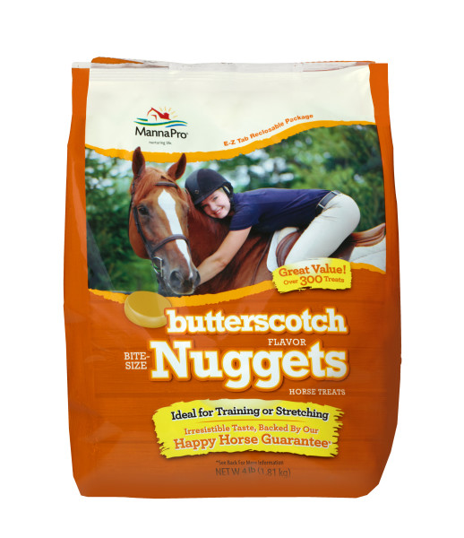 BUTTERSCOTCH NUGGETS 4LB