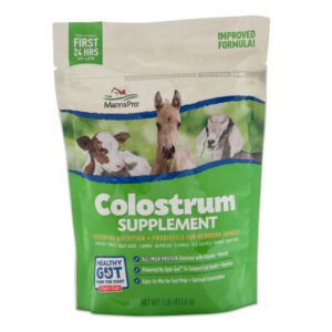MANNA PRO COLOSTRUM SUPP 16OZ
