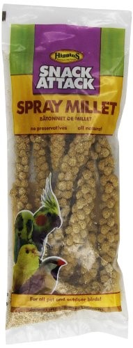 SPRAY MILLET 6CT