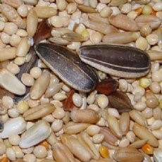 SUPREME BLEND COCKATIEL 50LB