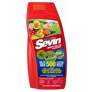 SEVIN INSECT KILLER CON 32OZ
