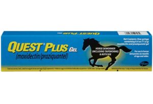 QUEST PLUS EQUINE DEWORMER