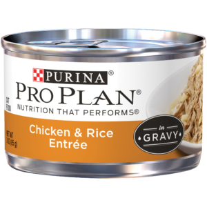 PP C 24CASE CKN/R/GRAVY