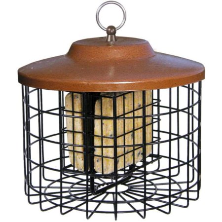 SQUIRREL-X DBL SUET FDR BRWN