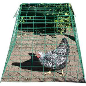 PYRAMID WIRE POULTRY CAGE