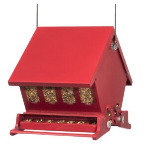 ABSOLUTE 2 MINI RED FEEDER