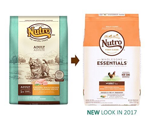 NUTRO WHLSM ESSEN CKN 30LB - Image 2