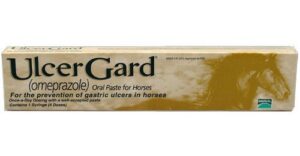ULCERGARD PASTE 4DOSE