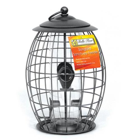 BIRD FEEDER 4PORT RED SWEET TRT