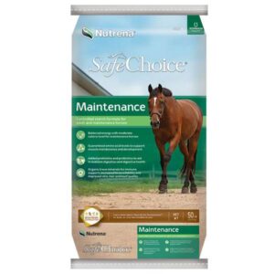 SAFECHOICE MAINTENANCE PL 50