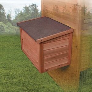 CHICK-N-NEST BOX
