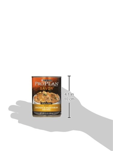 PRO PLAN ADULT CHK/VEG 13OZ
