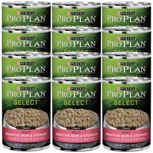 PRO PLAN SENS STOM SLM/RC 13OZ