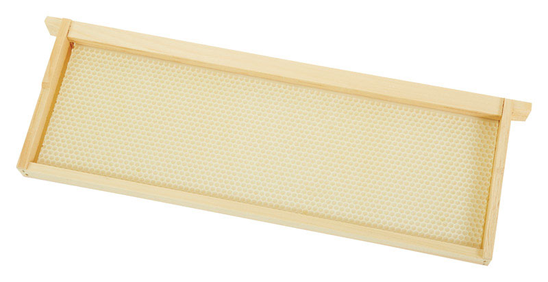 BEE HIVE MEDIUM HONEY FRAMES