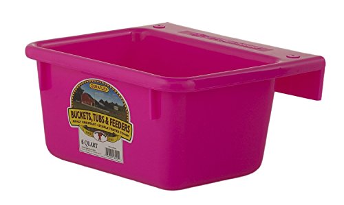 MINI FEEDER 6QT HOT PINK