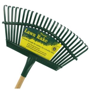 RAKE 19" STEEL HEAD LAWN WDN HND