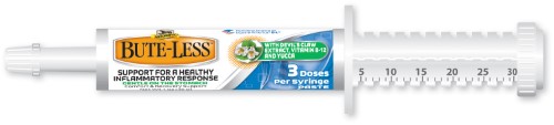 BUTE-LESS PASTE SYRINGE 1 OZ